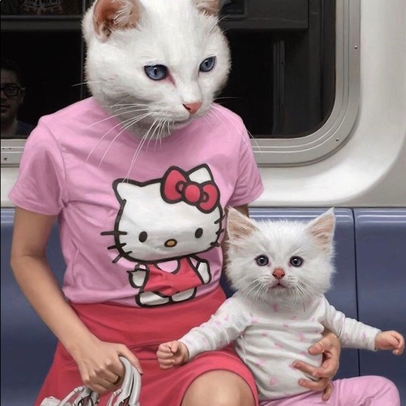 Meet your Posher, Melissa - Picture 1 of 1